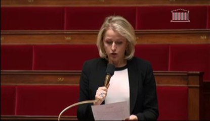 Langue des signes - question au gouvernement - 5 novembre 2013