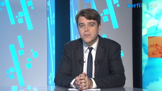 Aurélien Duthoit, Xerfi Canal Inde : la croissance précaire