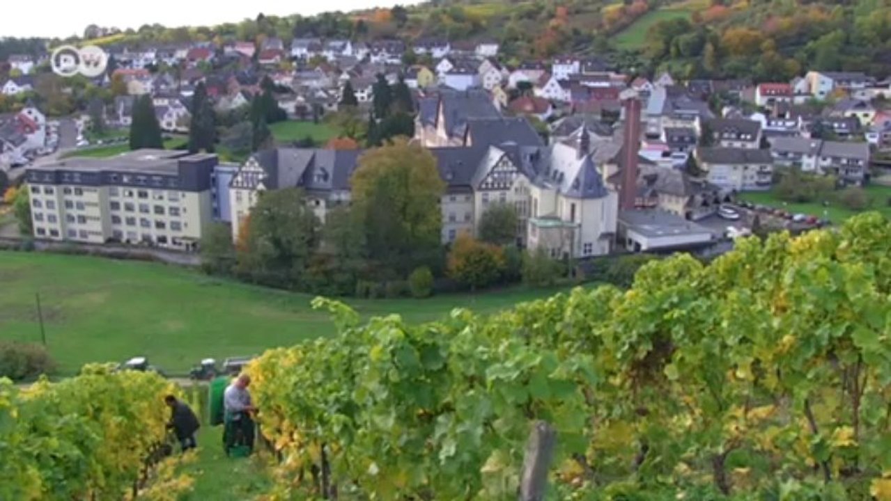 Robert Weil: Spitzenweingut im Rheingau | Made in Germany - Familienunternehmen