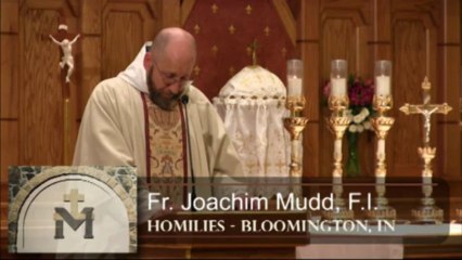 Nov 06 - Homily: Cost of Discipleship