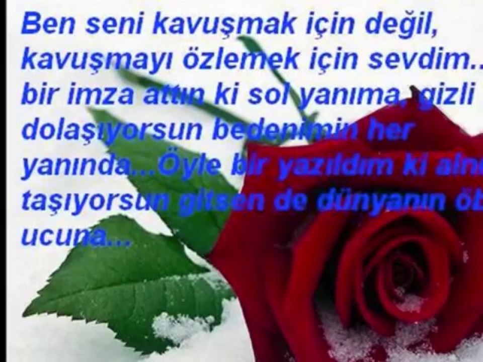 SACLARINDAN BIR TEL ALDIM HABERIN VARMI (ERGUN EFE)....OZZLEMM34