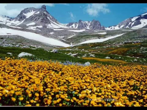 Şükriye Tutkun - Çiğdem Der Ki Ben Alayım