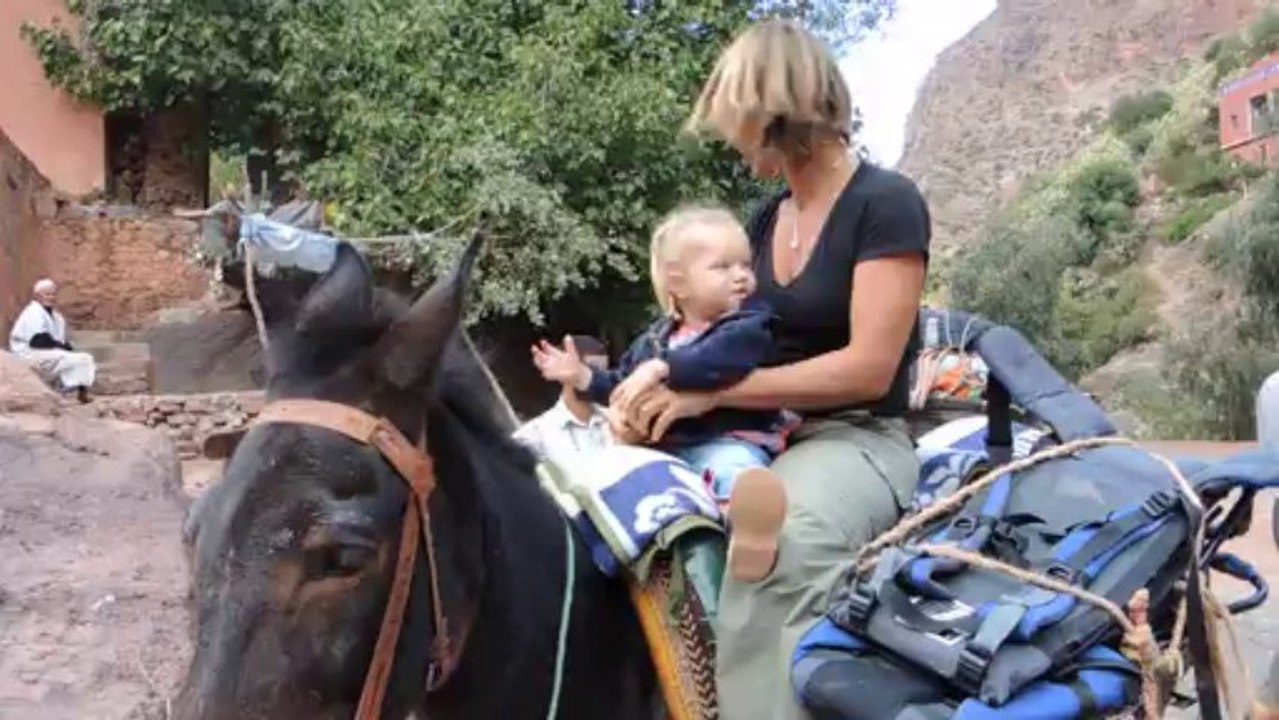 En mule par Ag. et J.