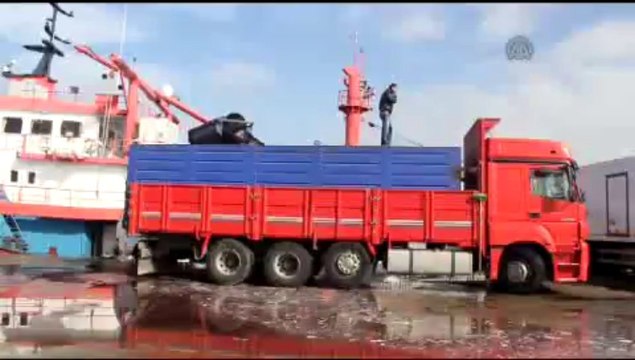 Hamsi yüklü kamyon denize düştü 