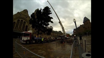 Le sapin de Noël de retour devant la gare à Metz