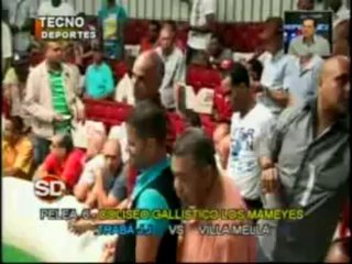 Programa-TECNODEPORTES-Resumen-Lunes-4-11-2013-Coliseo-Gallistico-Los-Mameyes,Rep.Dominicana
