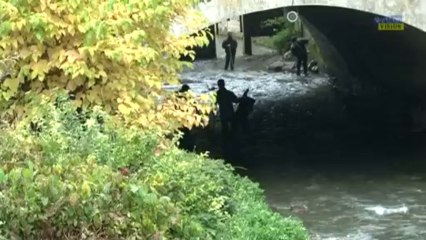 Nettoyage de la rivière Selle