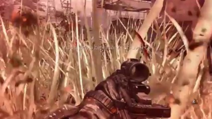 (thegamer) call of duty ghost