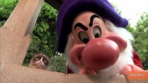 Grumpy Cat Meets Grumpy Dwarf at Disneyland