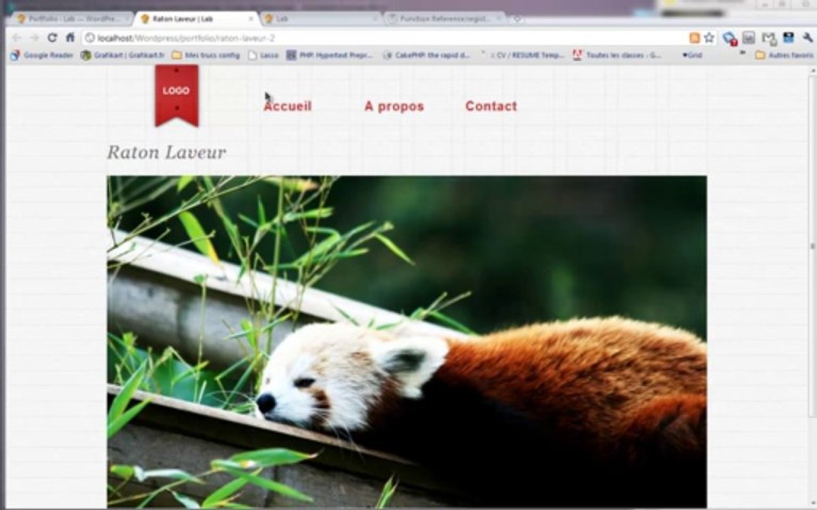 Tutoriel WordPress - Custom post type