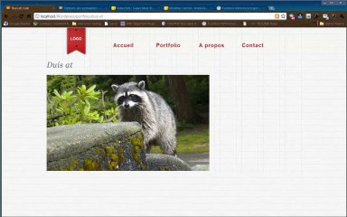 Maîtrisez la Taxonomie dans WordPress : Guide Complet pour Organiser votre Contenu 📂