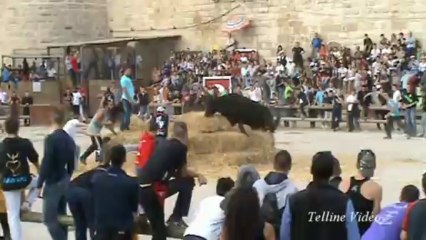 Voto d'Aigo-Morto de 2013