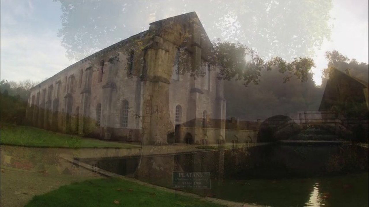 Abbaye de Fontenay
