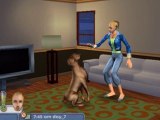 The Sims 2 Pets {EU} = PSP ISO Download Link