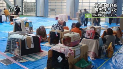 131106 NHKG_新潟ニュース610_避難訓練