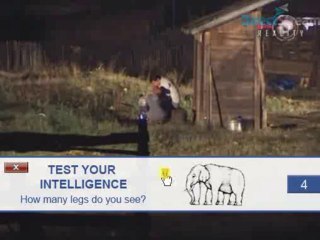 Jeca & Edin - razgovor -66.dan