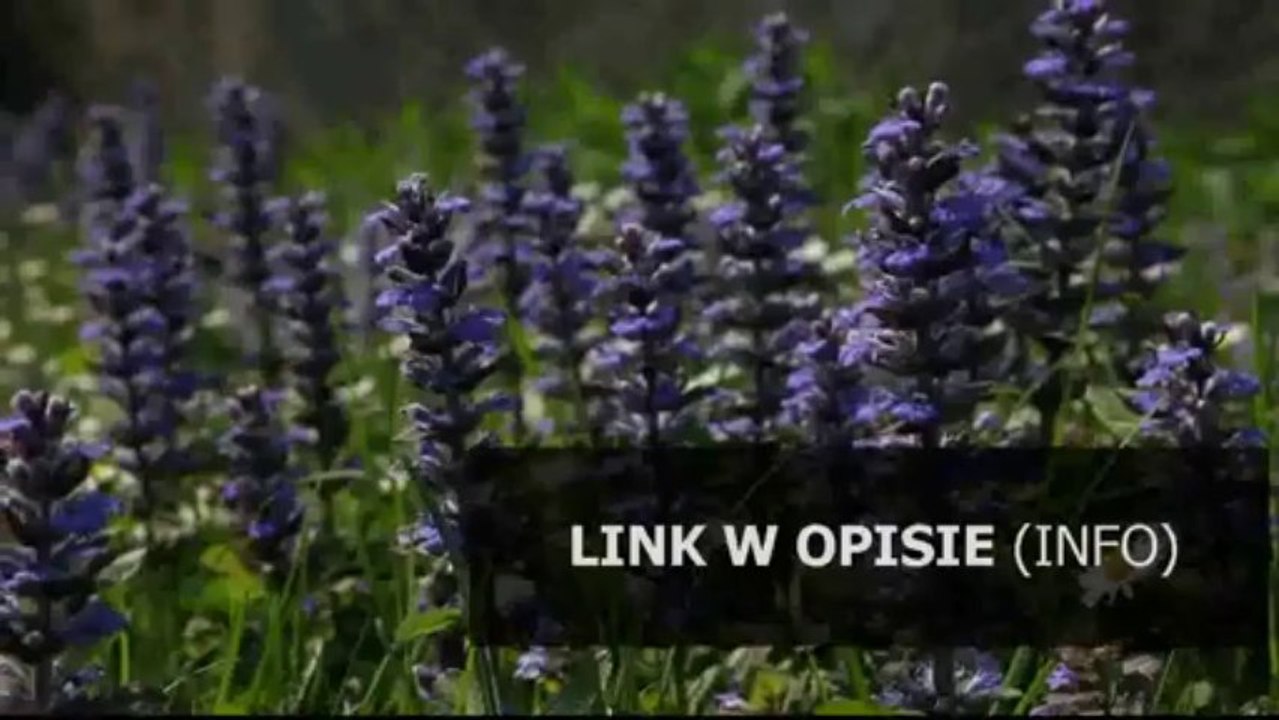 patch yuri's revenge download