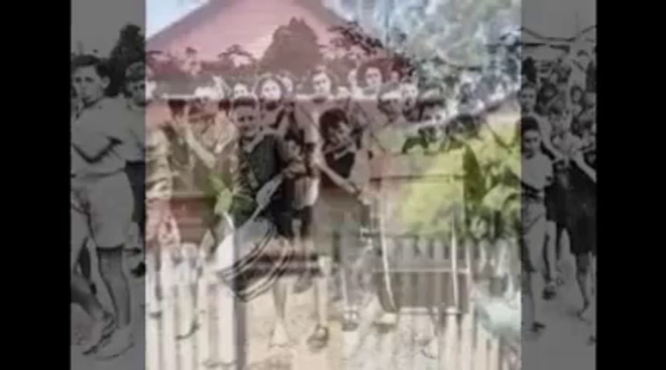 Seniors day tours Brisbane| School excursions Brisbane