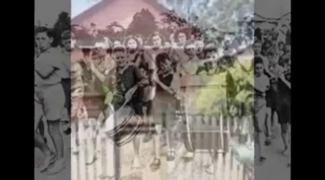 Seniors day tours Brisbane| School excursions Brisbane