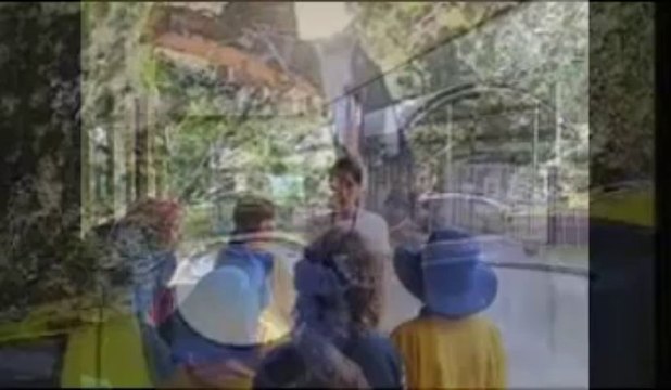 School excursions Brisbane|school excursions gold coast