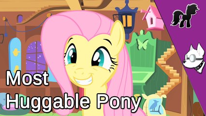 Evdog & The Welshtralian - Most Huggable Pony