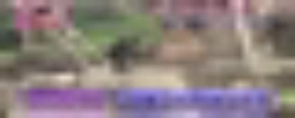 Tensai Shimura Doubutsuen 2013.11.02