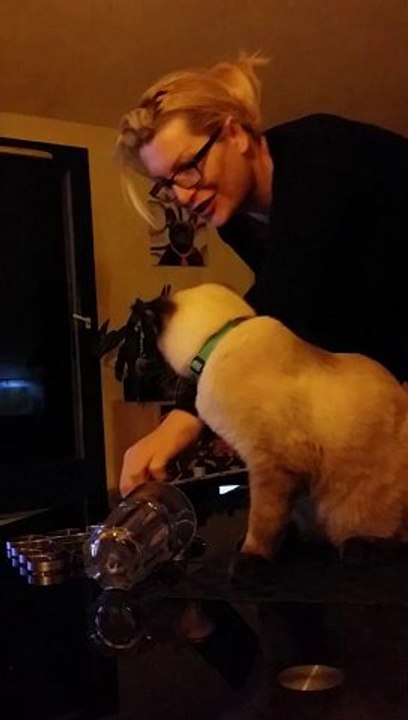 Simouss - le chat qui boit à la patte