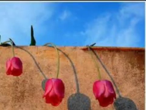 Aliye Akkılıç - Ela Gözlüm Ben Bu Elden Gidersem