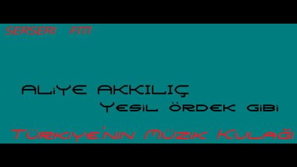 Aliye Akkılıç -- Yeşil Ördek Gibi