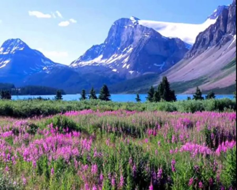 Frank Pourcel - Morir de Amor