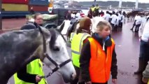 La manif à cheval se prépare sur les quais à Rouen.