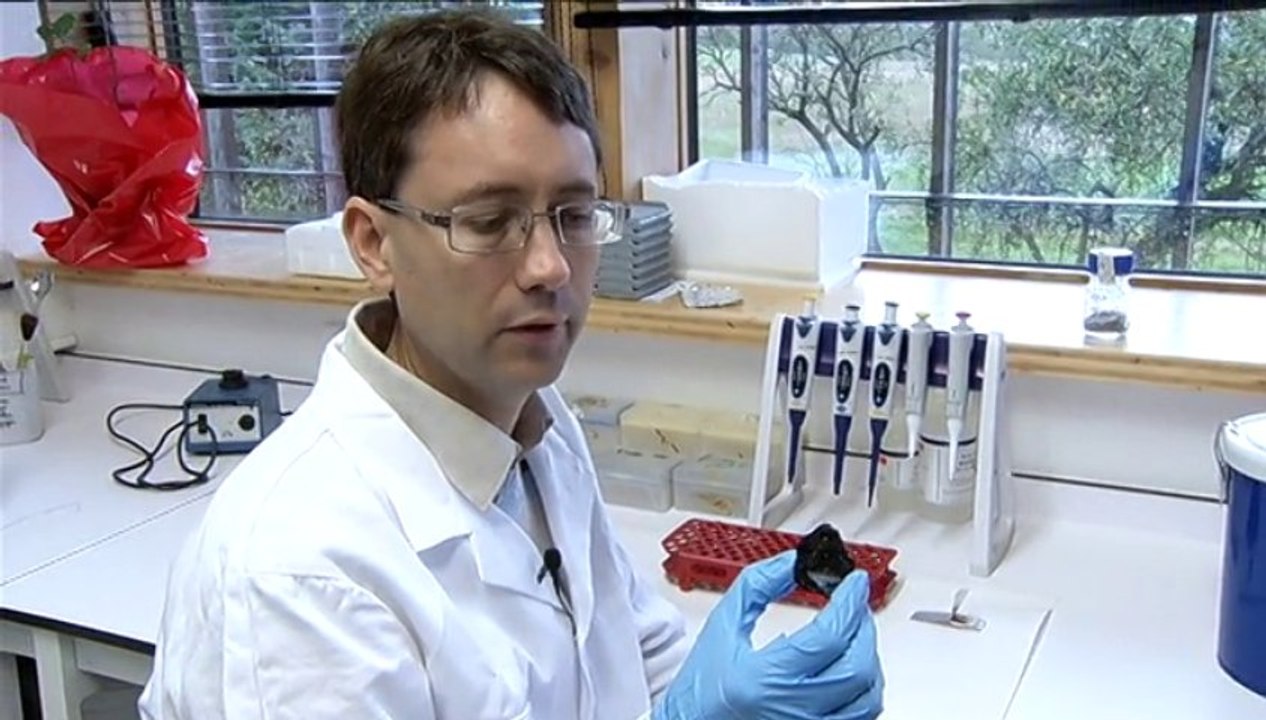 Vous avez dit Durable ? S02E25 - Mieux connaître la truffes pour mieux la cultiver