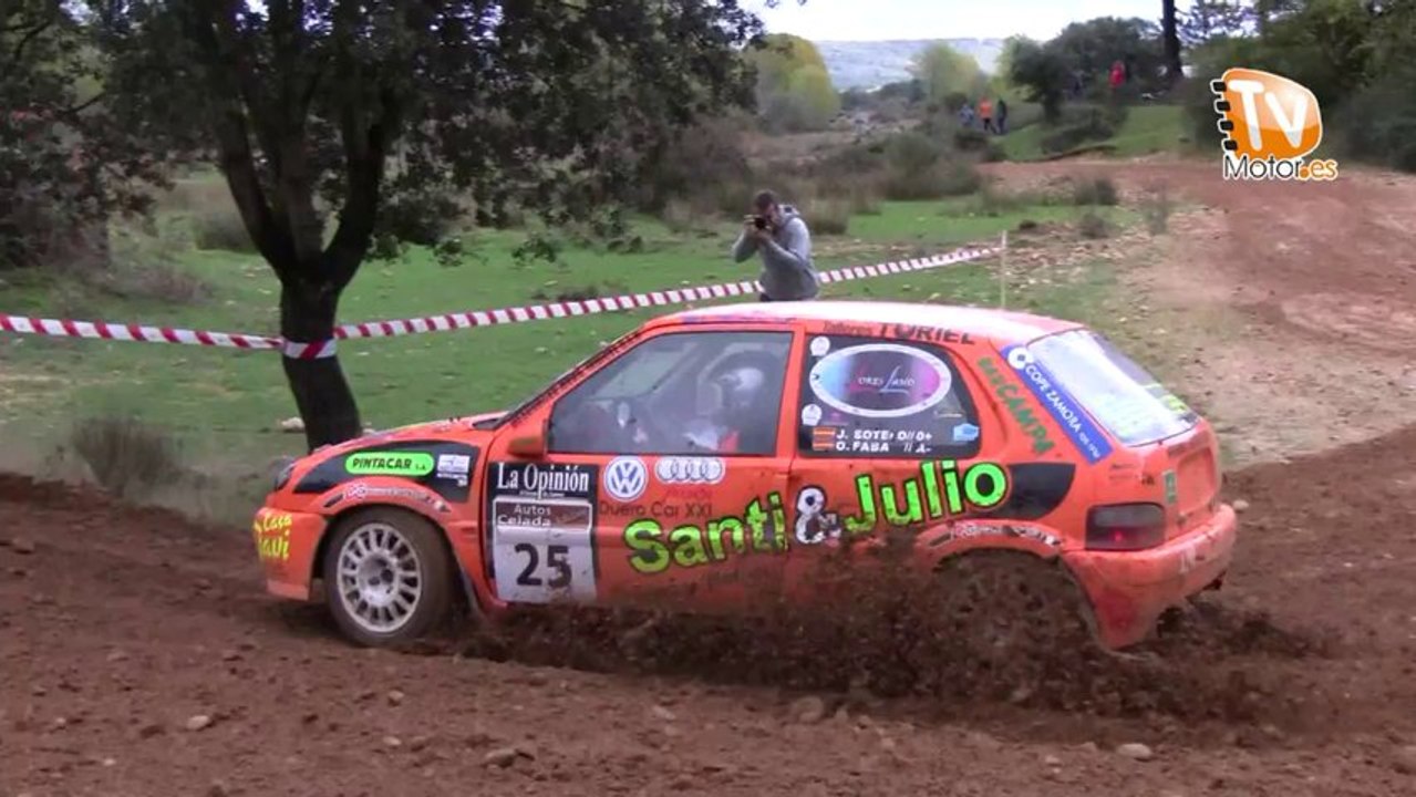 RALLYSPRINT DE SARIEGOS 2013