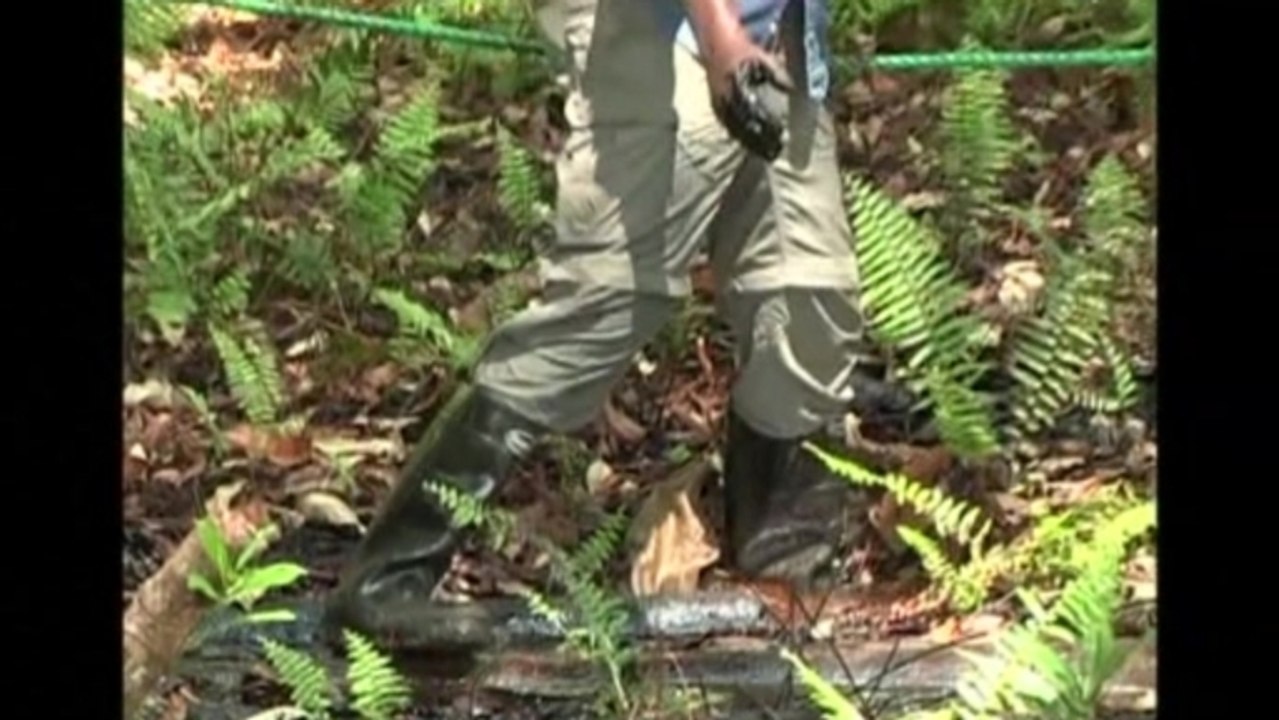 Hollywood actor and activist Danny Glover tours Ecuadorean oil field