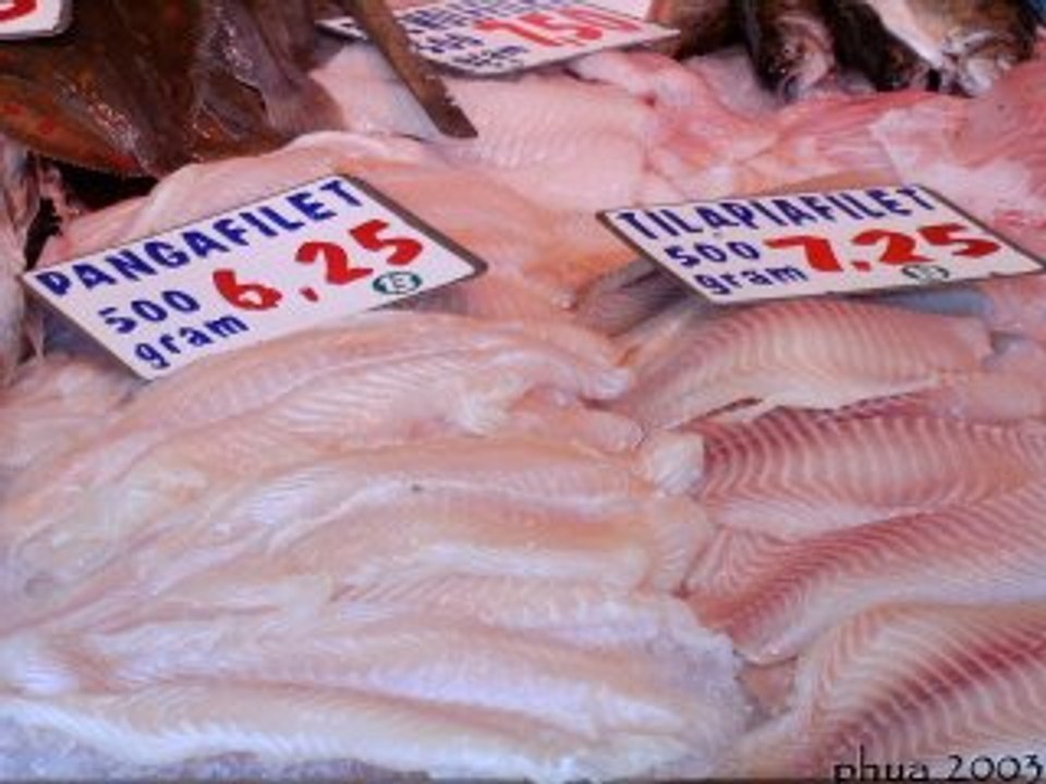 Qu'est ce qu'un Panga ?