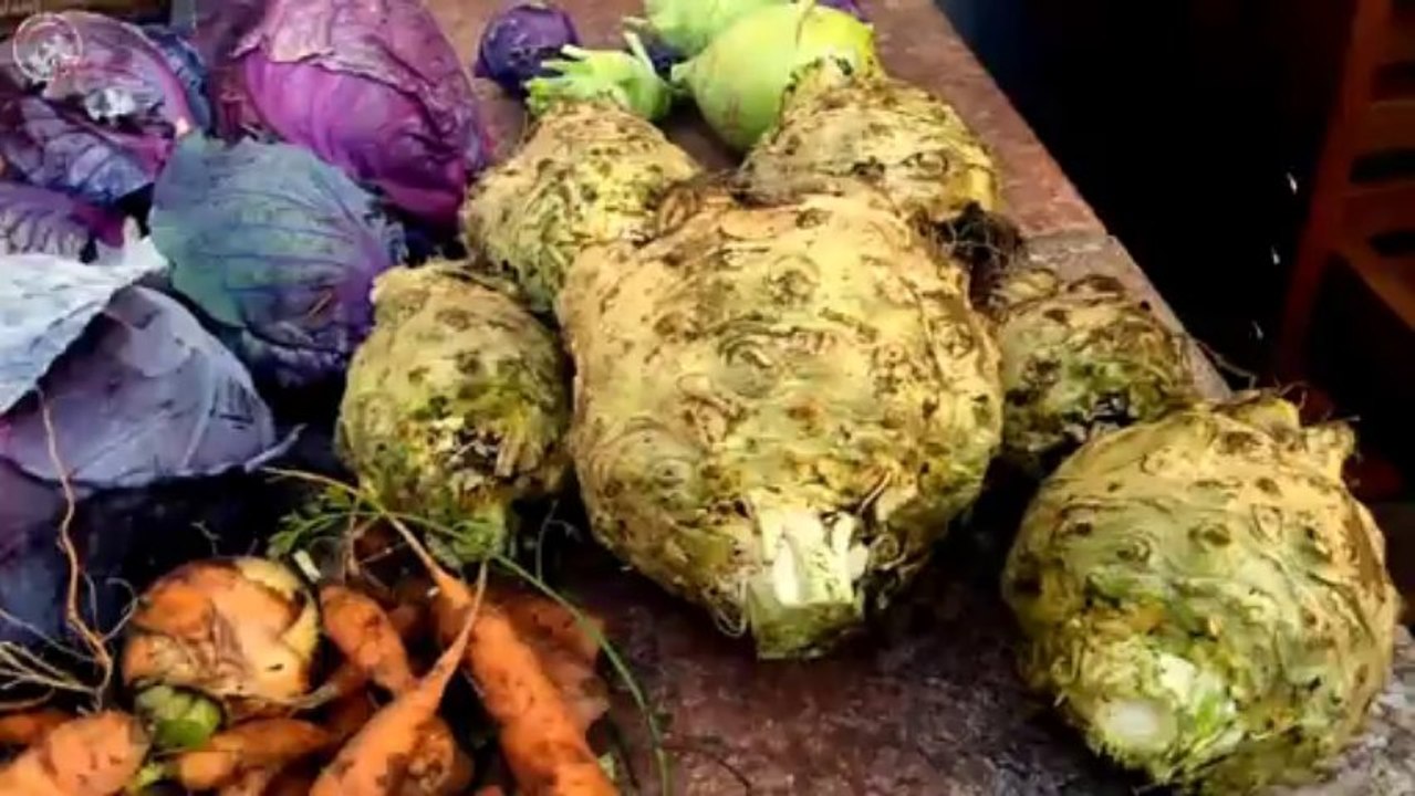 'Das große Wiedersehen' - iceworx.tv