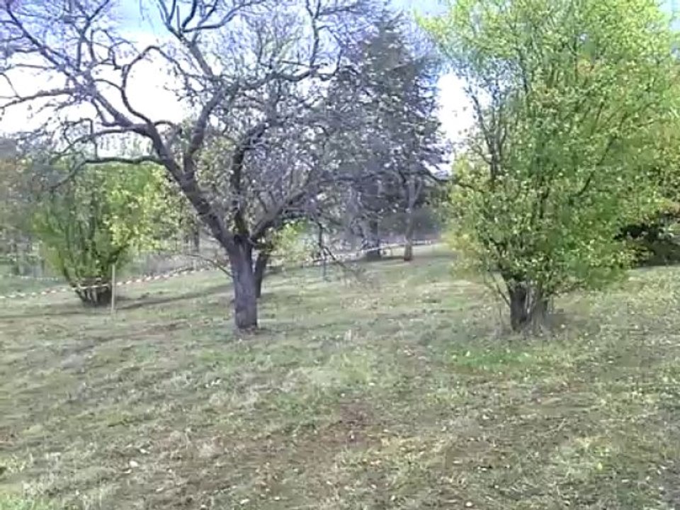 cyclo cross de riom 2013 (3)