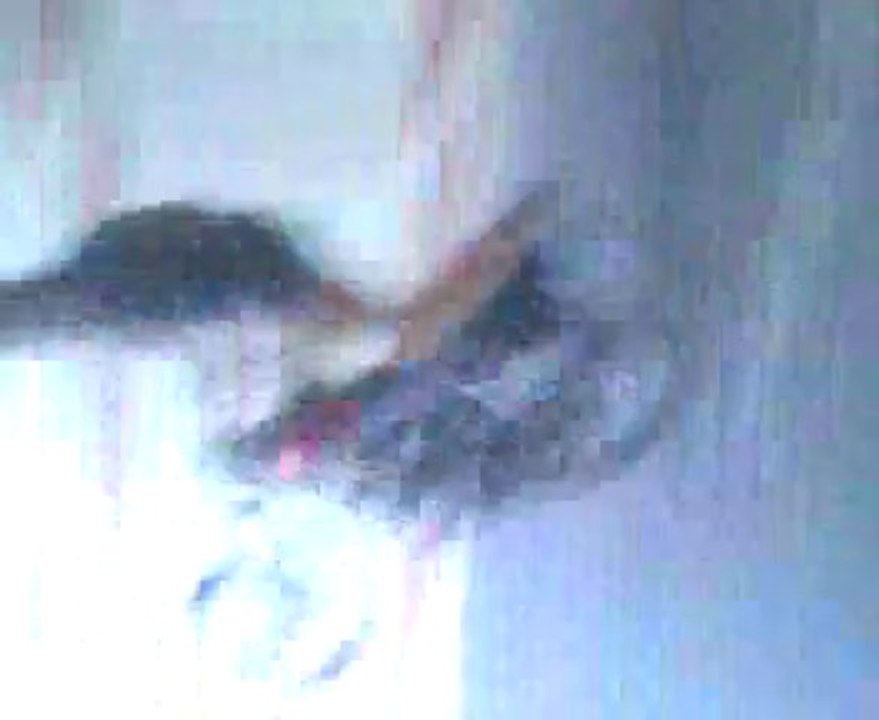 Video0004