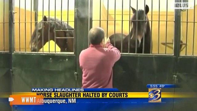 U.S. Federal Appeals Court Temporarily Halts Horse Slaughter