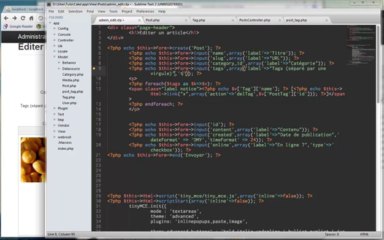Tutoriel CakePHP - Système de Tags, HasAndBelongsToMany