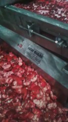 Nar ayıklama makinası