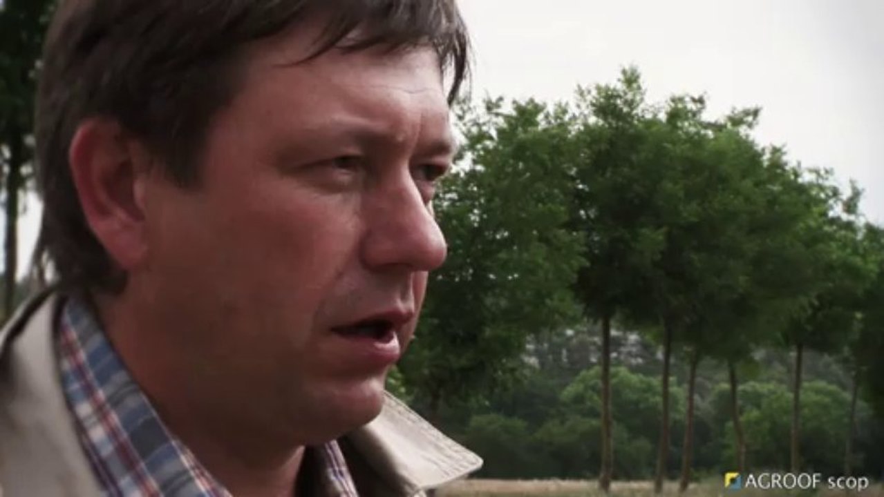 Agroforesterie et Agriculture de conservation - frédéric Thomas
