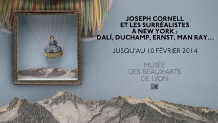 Comprendre l'expo Joseph Cornell