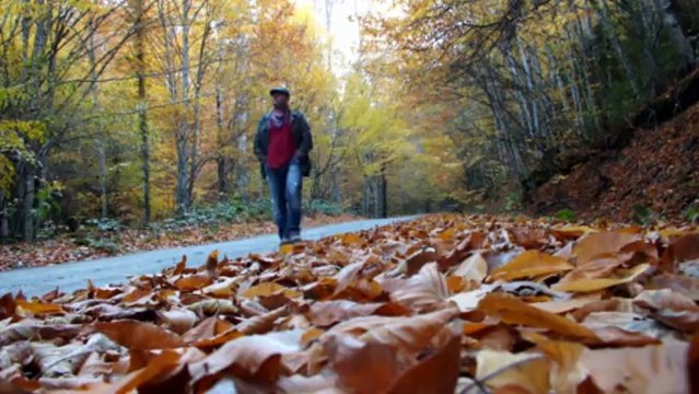 BOLU-YEDİGÖLLER KAMP VE DOĞA YÜRÜYÜŞÜ ETKİNLİĞİ 2013