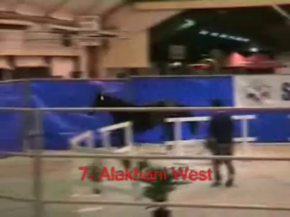 07_Alakhani West