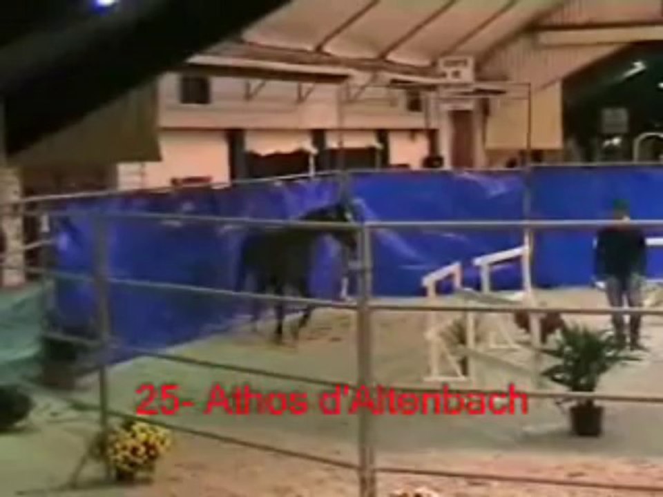 25_Athos d'Altenbach