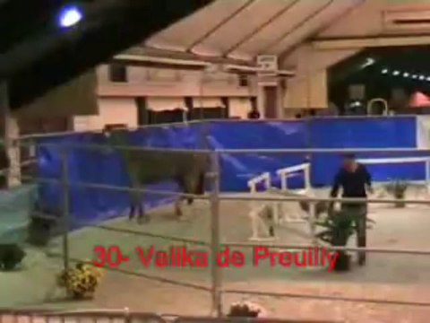 30_Valika de Preuilly