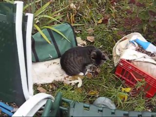 Metal Detecting ep 9 11-06-2013