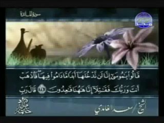 سورة المائدة كاملة -  الشيخ سعد الغامدي