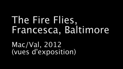 The Fire FLies, Francesca, Baltimore - Mac/Val - Exhibition views